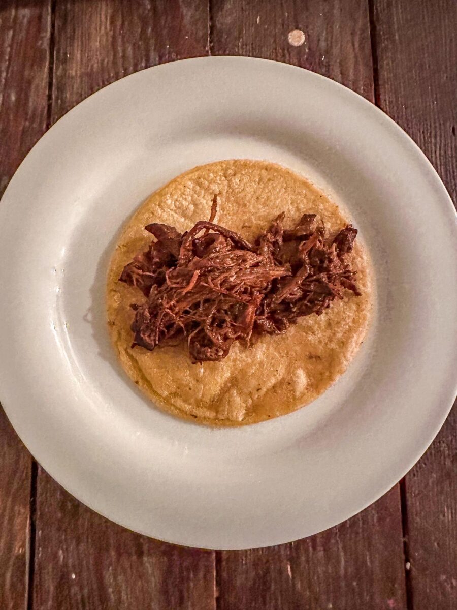 Corn tortilla on a white plate with barbacoa beef on it.