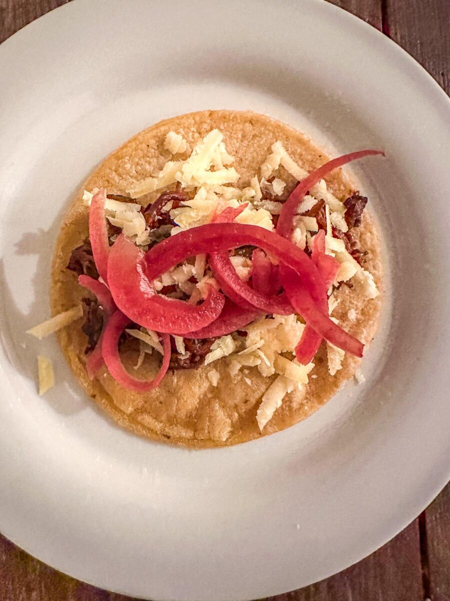 Corn tortilla topped with shredded barbacoa, white cheddar and pickled red onion.