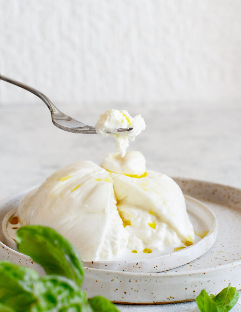 A close-up of a fork lifting a piece of creamy burrata cheese from a whole burrata on a plate. Olive oil is drizzled on top, and fresh basil leaves are in the foreground. The background is softly blurred, creating a cozy, appetizing scene.