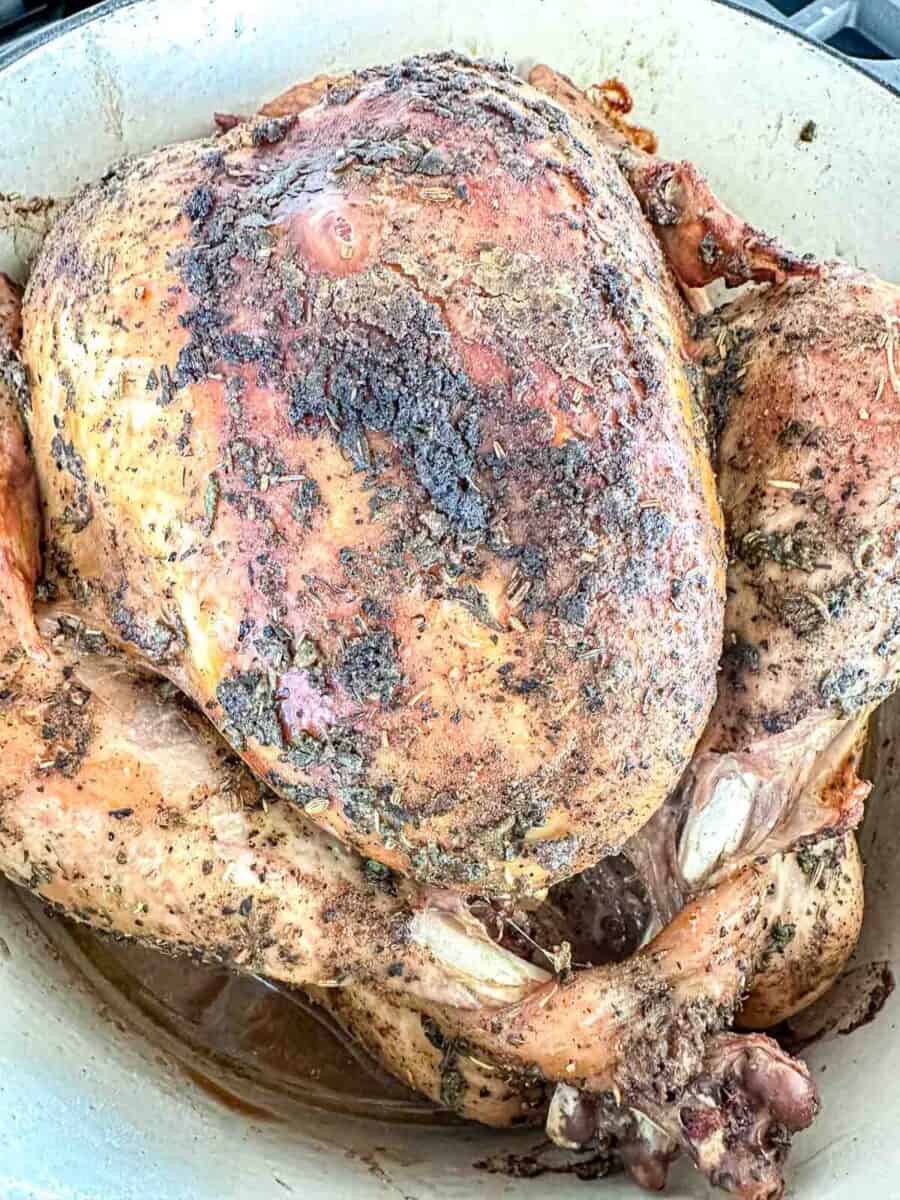 A whole roasted turkey with crispy, browned skin, seasoned with herbs and spices, sits in a roasting pan.